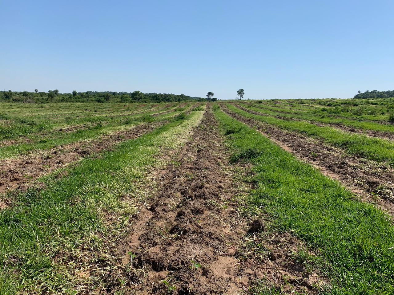 uploads/banners/WhatsApp Image 2025-06-02 at 15.50.55.jpeg